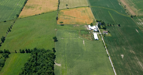 How to Assess the Value of Farm Land and Hunting Properties in Indiana